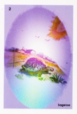 oracle,de carli,cartes,intuition